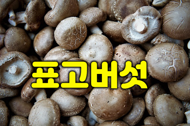 표고버섯